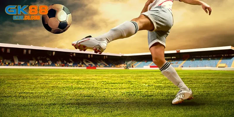 Theo dõi kết quả và rút tiền